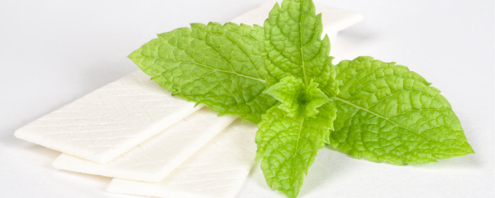 pieces of healthy chewing gum and mint leaves